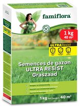 Famiflora graszaad 1kg tot 40m² - Ultra Resist - alleskunner - Snel herstellend gazon zodat kale plekken snel verdwijnen en het gras gelijkmatig blijft