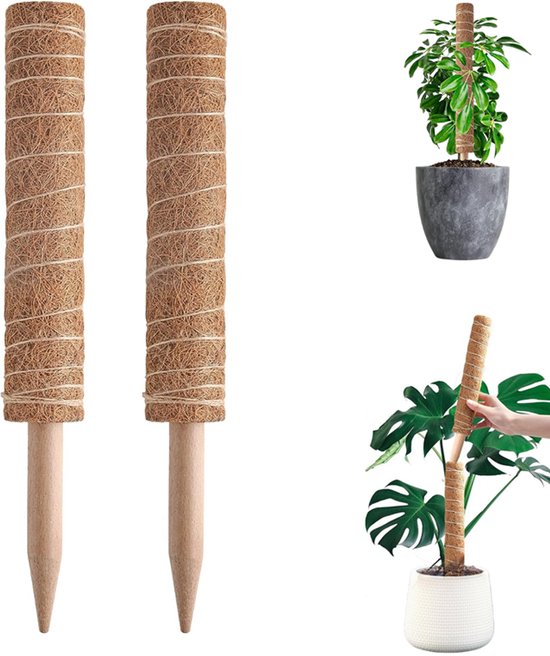 2 stuks - Mosstok - Mosstok monstera - Mosstok voor Planten - plantenstokjes 40 cm - uitbreidbare kokos klimpaal - natuurlijke ondersteuning voor klimplanten zoals monstera en pothos