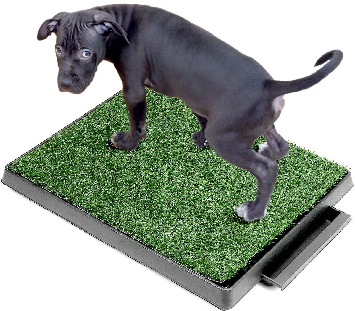 SnelShoppen - Hondentoilet met Kunstgras 63 x 51 cm - Wasbaar Puppytoilet - Herbruikbaar Trainingskussen voor Kleine en Middelgrote Honden - Ideaal vo