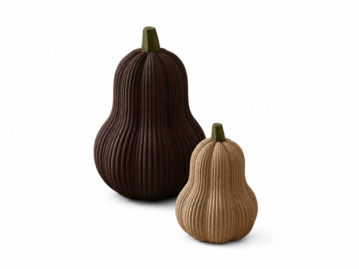 Set van 2 Decoratieve Pompoenen – 3D-Geprinte Herfstdecoratie