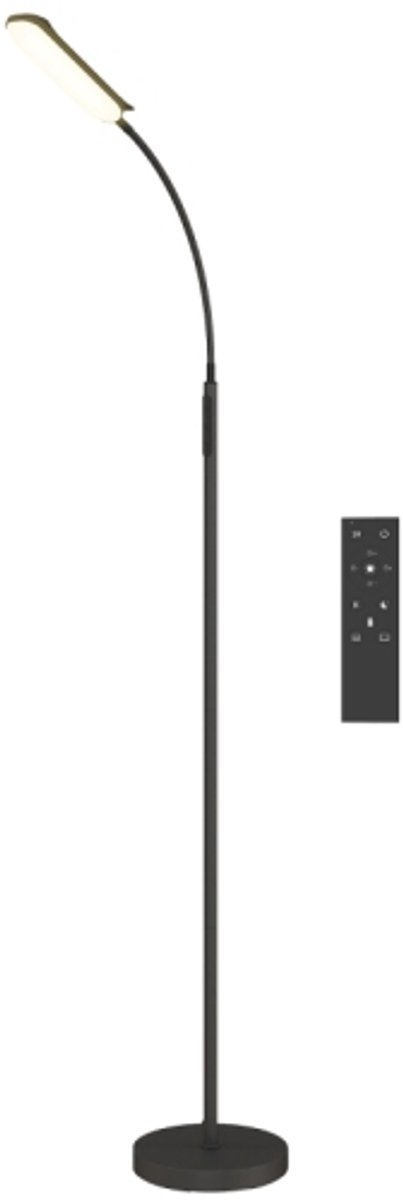 LED staande lamp - dimbaar - met afstandsbediening en touch‑bediening - 360° verstelbare zwanenhals - 1‑uurs timer en geheugenfunctie - zwart voor woonkamer