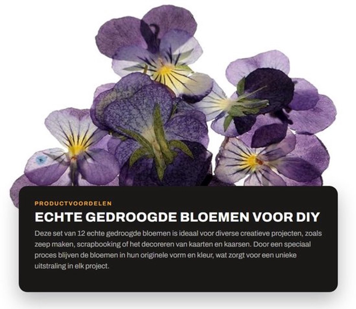 Gedroogde Bloemen 12 Stuks - Echte Geperste Bloemen - DIY Decoratie - Nagelkunst - Hars/Sieraden - Originele Vorm Behouden - Bloemdecoratie