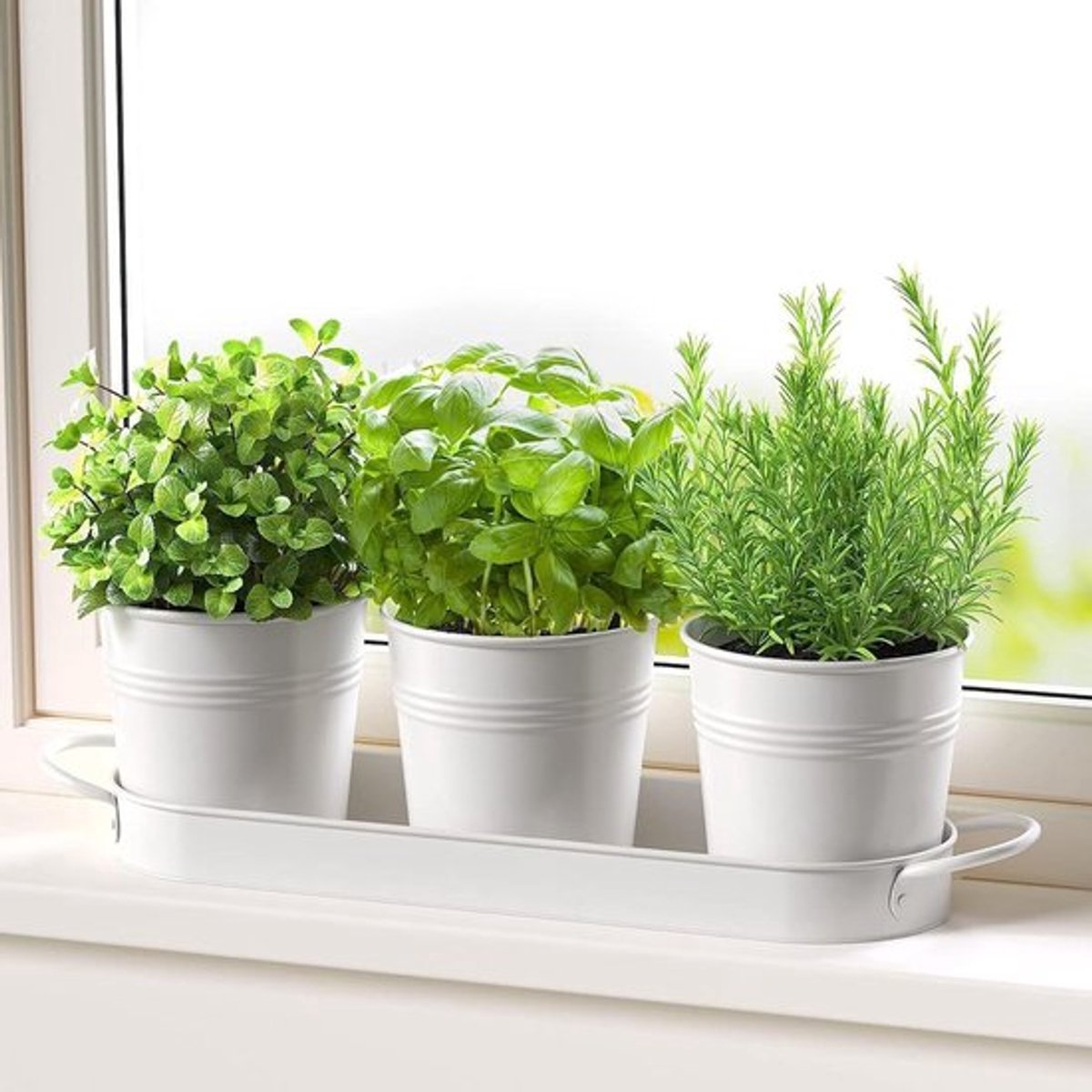 Set van 3 Witte Binnenkruidenpotten, Decoratieve Potten voor Keukenvenster, Ideaal voor Kruidengroei en Organisatie van Planten