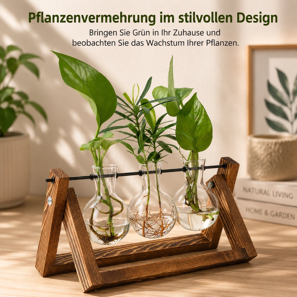 Vintage Kweekstation voor Planten - Glazen Bollen met Houten Standaard - Hydrocultuur Bloemenvaas - Set van 3 - Transparant Glas - Natuurlijk Hout - Ideaal voor Cadeau - Inclusief 3 Glazen Vazen - Voor Waterplanten en Bloemen - Compact en Decoratief