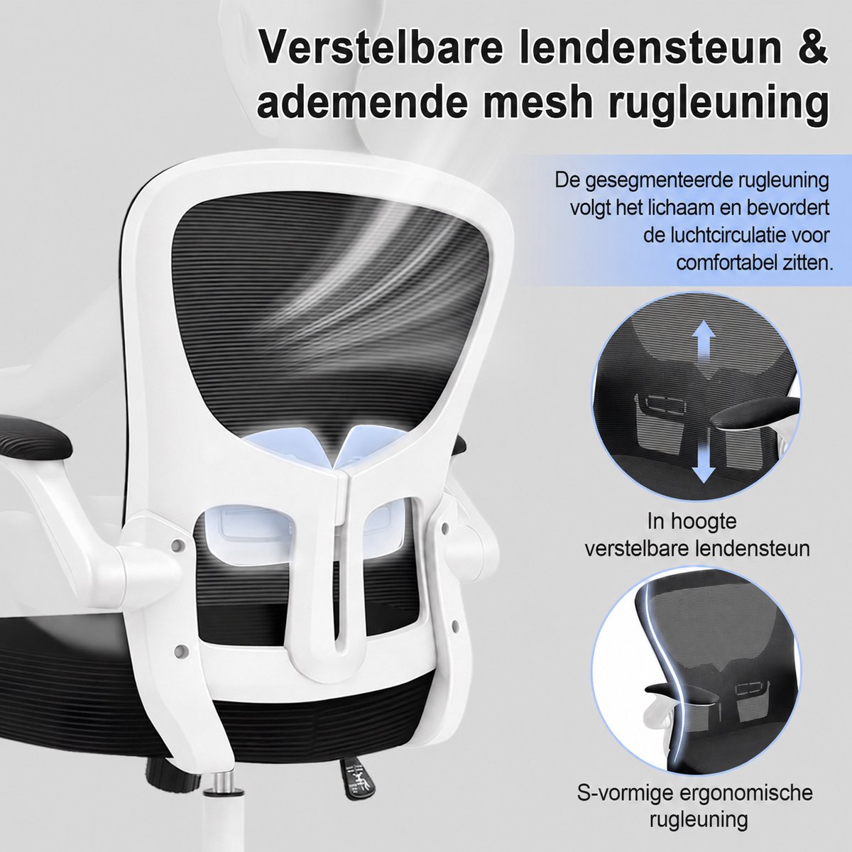 Durrafy Ergonomische Bureaustoel met Lendensteun en - afbeelding 3