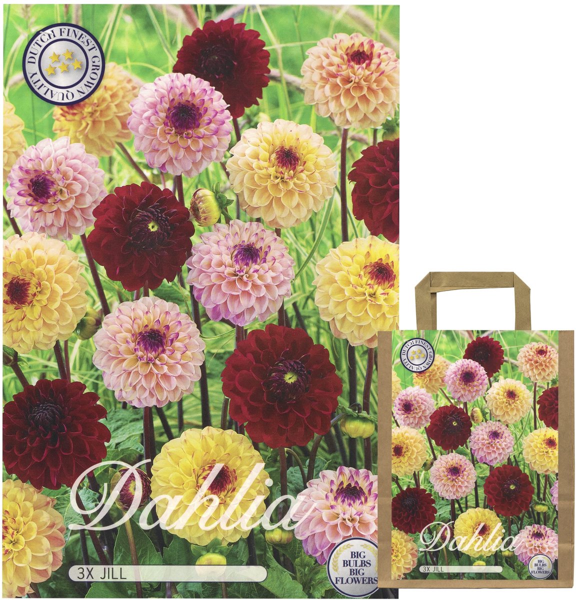 Solidchoice - Dahlia Tuber Mix voor Kleurige Bloemen in de Tuin
