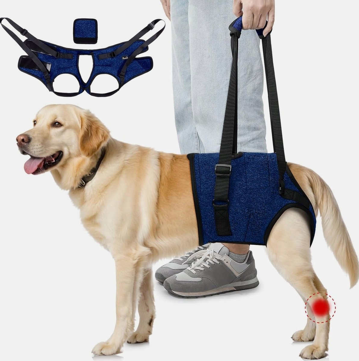 Honden Draagbeugel Achterpoten - Maat M - Verstelbaar Neopreen
