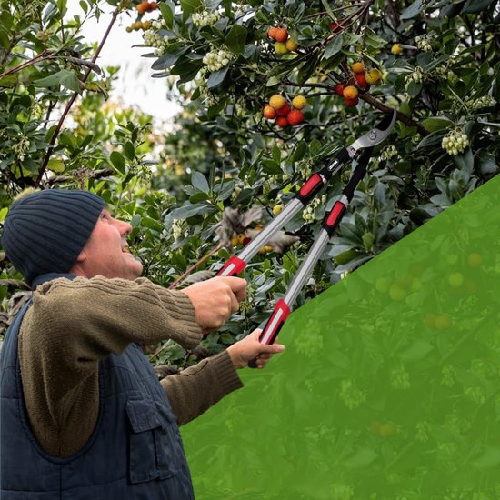 Telescopische snoeischaar - Voor het handmatig snoeien van takken en bladeren - Papegaaienbekvormig blad - Tuinschaar - 51-72 cm - Antislip handgreep - Geschikt voor het snoeien van takken van verschillende diktes - Rood — afbeelding 2