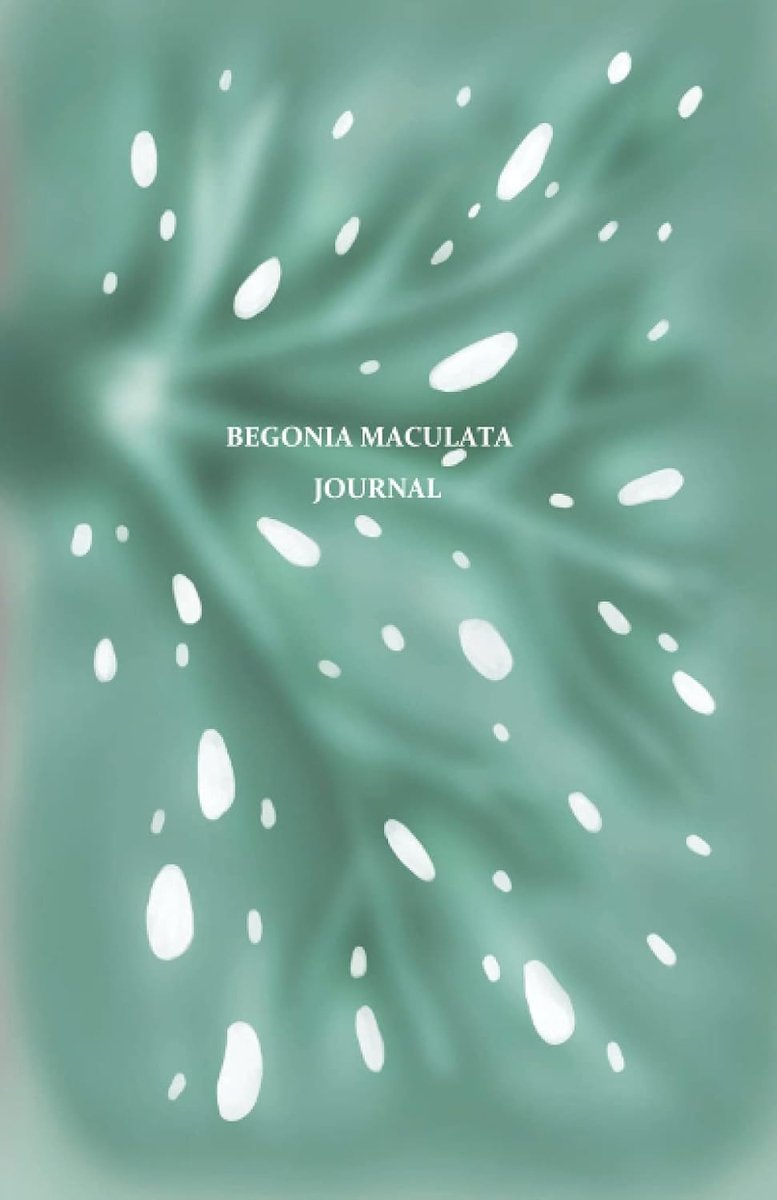 Begonia Maculata Journal