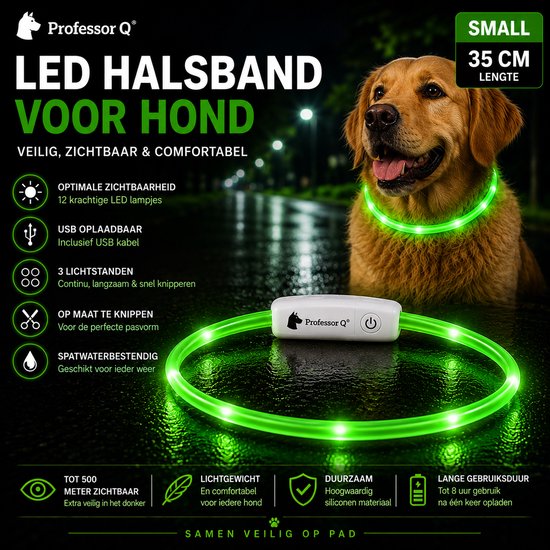Hond met groene LED halsband, 'Professor Q', Small, 35 cm lengte, USB oplaadbaar, 3 lichtstanden, waterdicht.