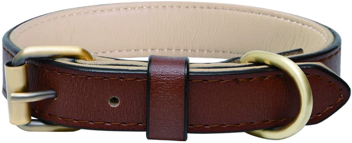 Hondenhalsband met Gewatteerde Beste voor Kleine, Middelgrote en Grote Hondenrassen (S, Bruin)