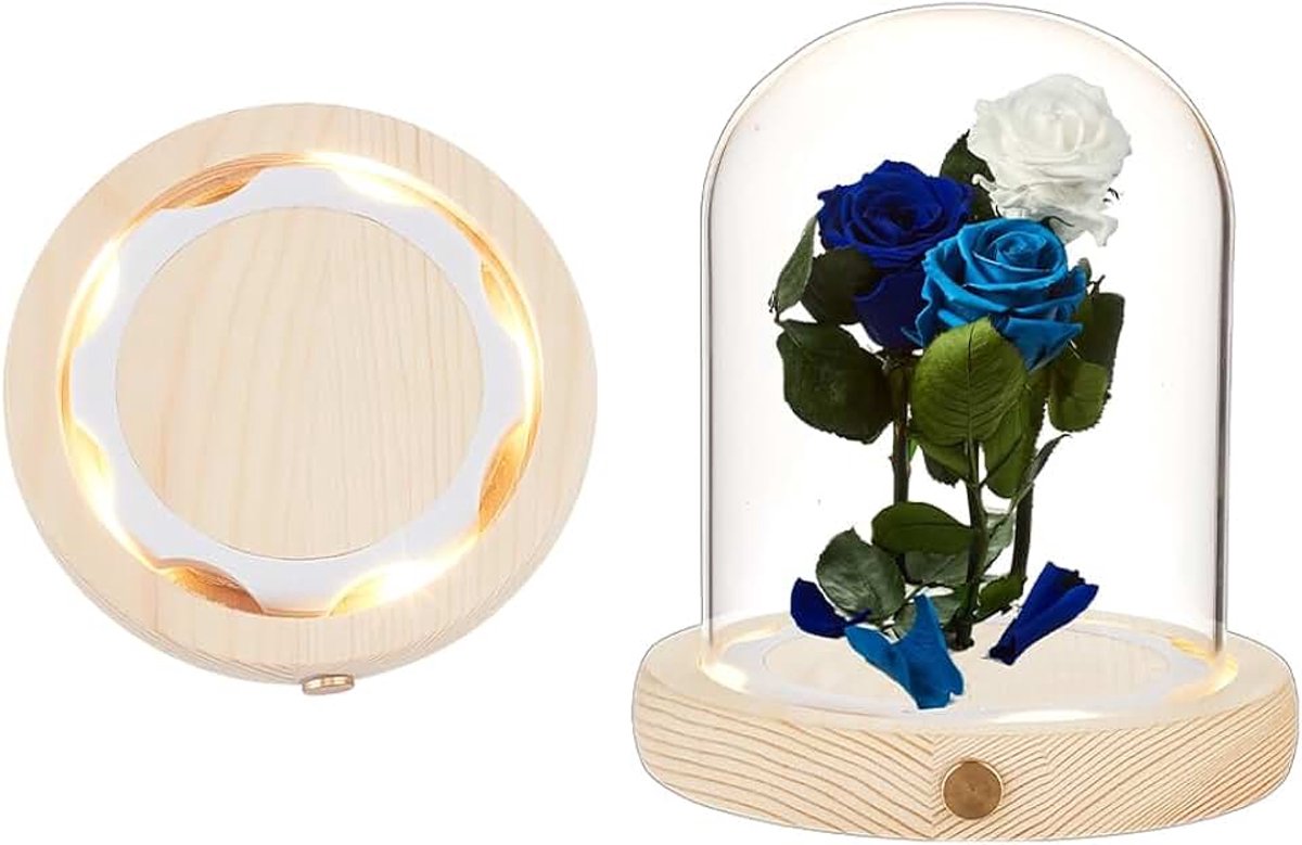 Nbeads Glazen bel met LED-lichtsokkel, zeer transparante displaykoepel glazen koepel afdekking voor eeuwige bloemen voor tafelopzetstukken planten stenen monsters decoraties kunsthandwerk, 11,5 x 13