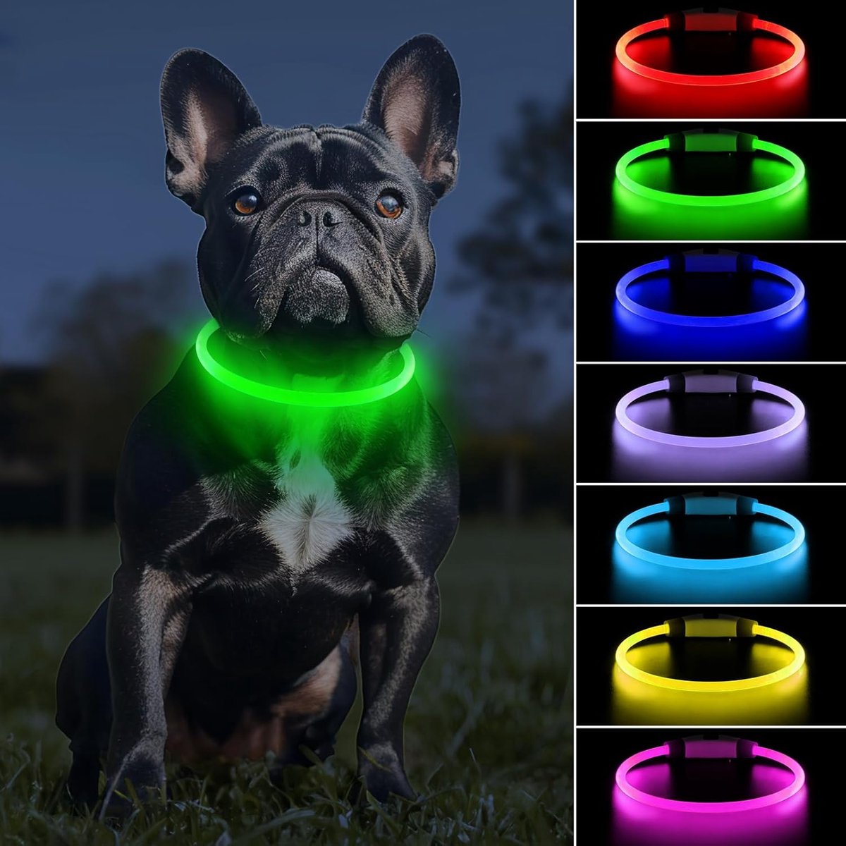 Light Up Halsband, Oplaadbare Knipperende Hond Halsband voor Nacht met 7 Kleuren 9 Modes, LED Halsband met Licht voor Puppy Kleine Medium Grote Honden, 70cm Knipbaar