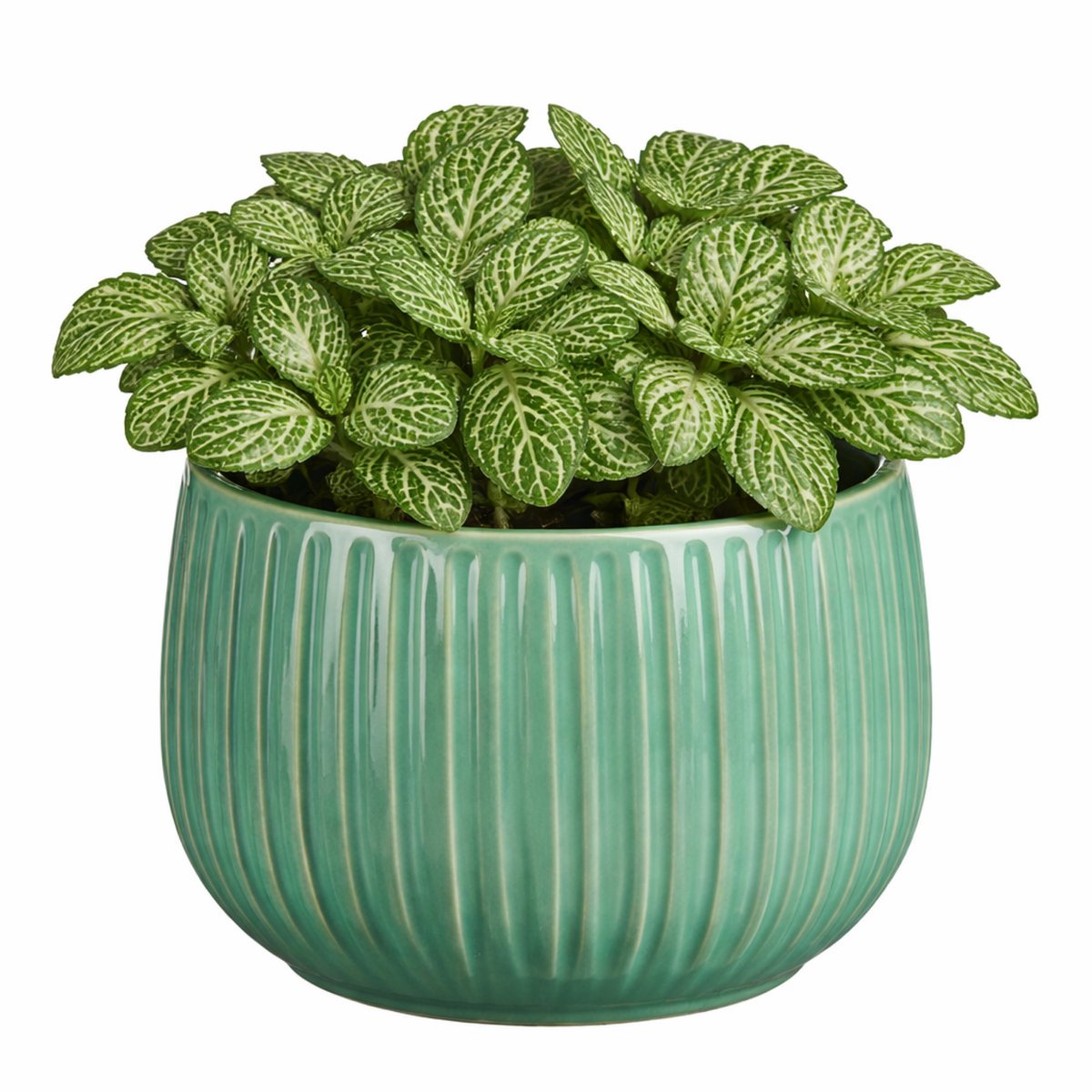 Mica Decorations Plantenpot - keramiek - groen glans / ribbels - D16 x H14 cm - bloempot Pablo