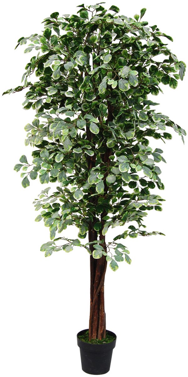Kunstmatige Valse Arum Plant Decoratie Bininnen 110cm DECOVEGO