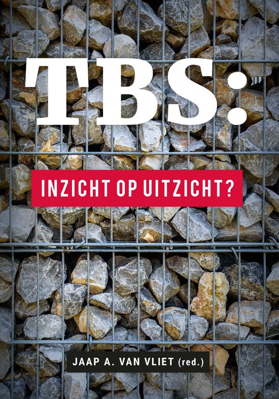 Boekomslag met tekst 'TBS: inzicht op uitzicht?' op een achtergrond van stenen in een gabionenmuur.