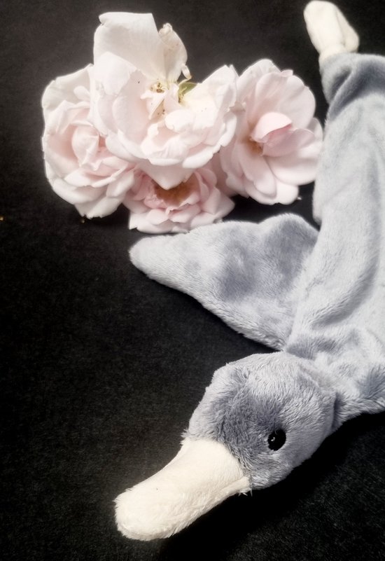 Baby Cadeau Pakket-Kraam Kado-Kraam Cadeau-Baby Geborduurde naam op Baby Badjas - Kraampakket met Naam - Kraam Cadeau Jongen - Baby Geschenkset met Funnies Eend, Baby Badjas en Slabbetje - baby shower — afbeelding 3