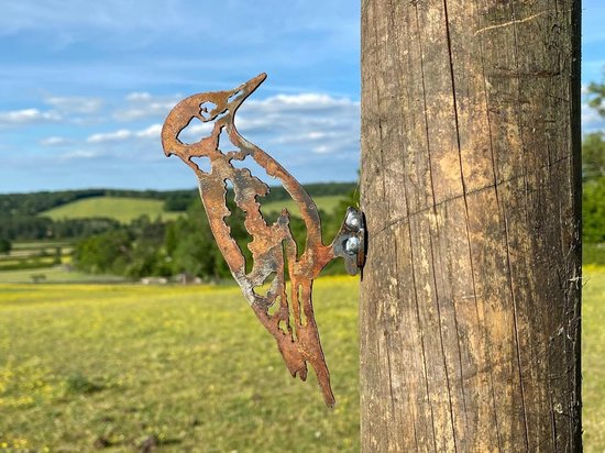 Houten Specht Tuindecoratie - Vogel Figuur - Tuin Aankleden - Rustieke Roest Patina - 12cm x 6cm - Multicolor