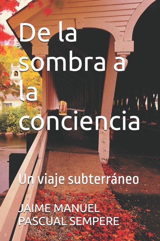 De la sombra a la conciencia - cover