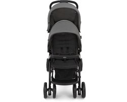 Graco Stadium Duo - Titanium - Tandem dubbele kinderwagen - vanaf de geboorte tot ongeveer 3 jaar (max. 15 kg per kind)