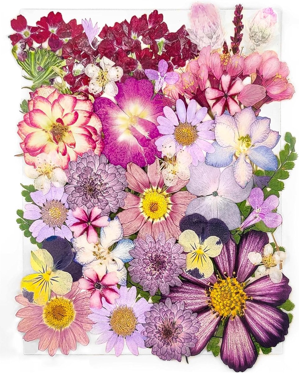 SnelShoppen - 15 Types Paarse Gedroogde Geperste Bloemen voor Resin, 37 Stuks Natuurproducten voor DIY Kunst, Kaarsen Maken, Nageldecoratie en Zeep Ma