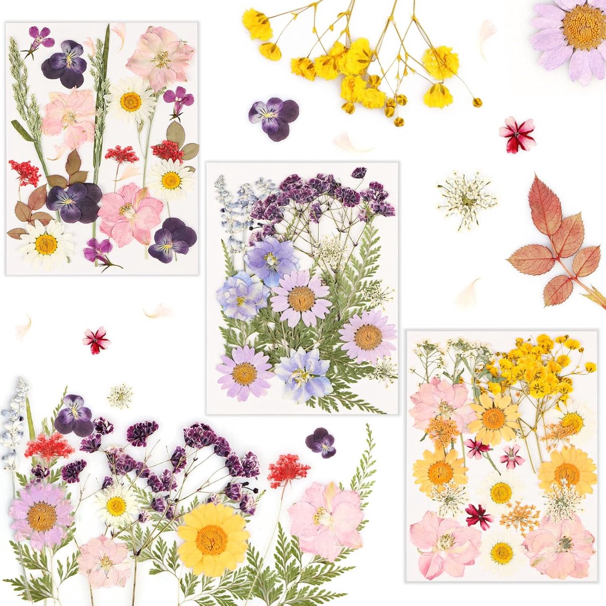 SnelShoppen - 66pcs Natuurlijke Gedroogde Bloemen en Bladeren, DIY Geperste Bloemen voor Kaarsen, Hars Sieraden, Nagel Hangers, Creatieve Projecten en