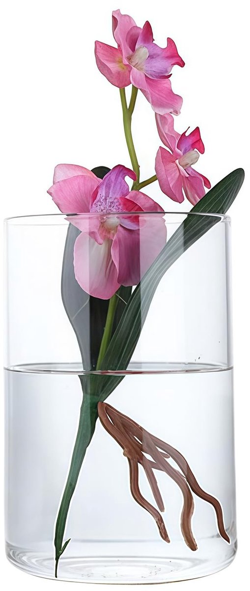 SnelShoppen - Heldere Glazen Cylinder Vaas 10 cm - Bloemenvaas Decoratief Tafel Centerpiece - Kaarsenhouder voor Hydroponische Planten - Bruiloft en T