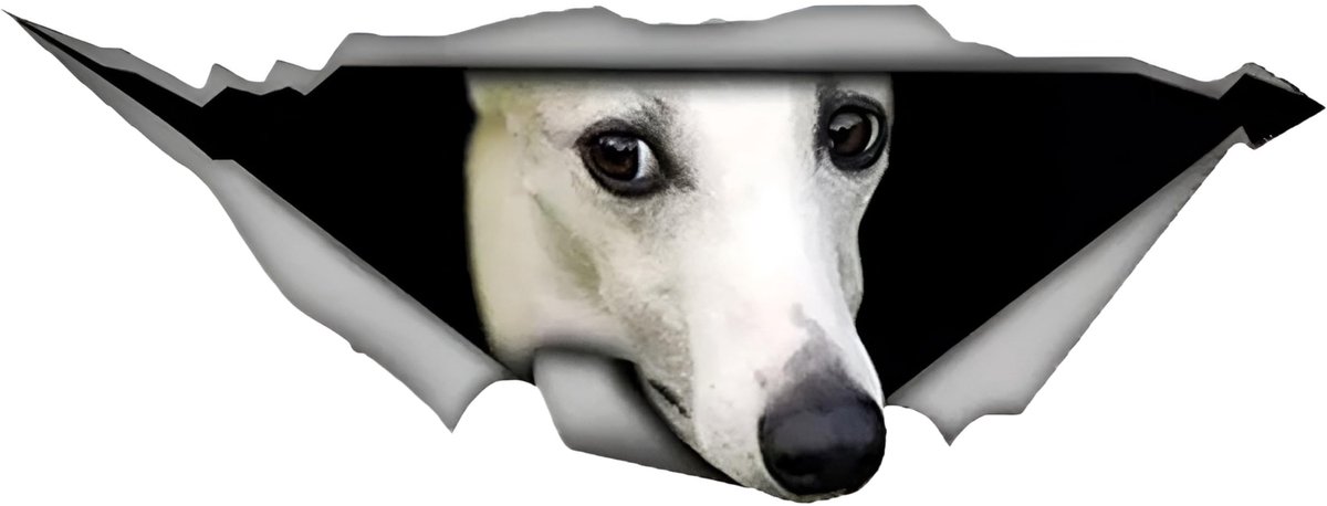 Solidchoice - Reflecterende Autosticker van Whippet