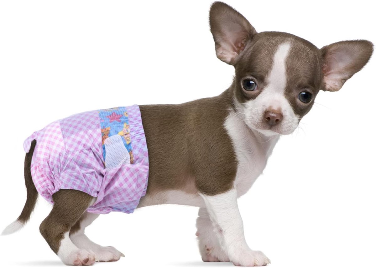 Dog Diapers for es XXS-40 Pack Super Absorbent Disposable Diapers for es and Kitties with Moisture Indicator Dog - ShopVlot