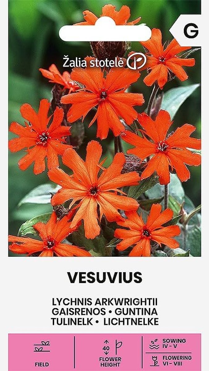 Zalia stotele - Prikneus – Vesuvius zaden - Bloemenzaden - Plantenzaden - Tuinzaden - ShopVlot