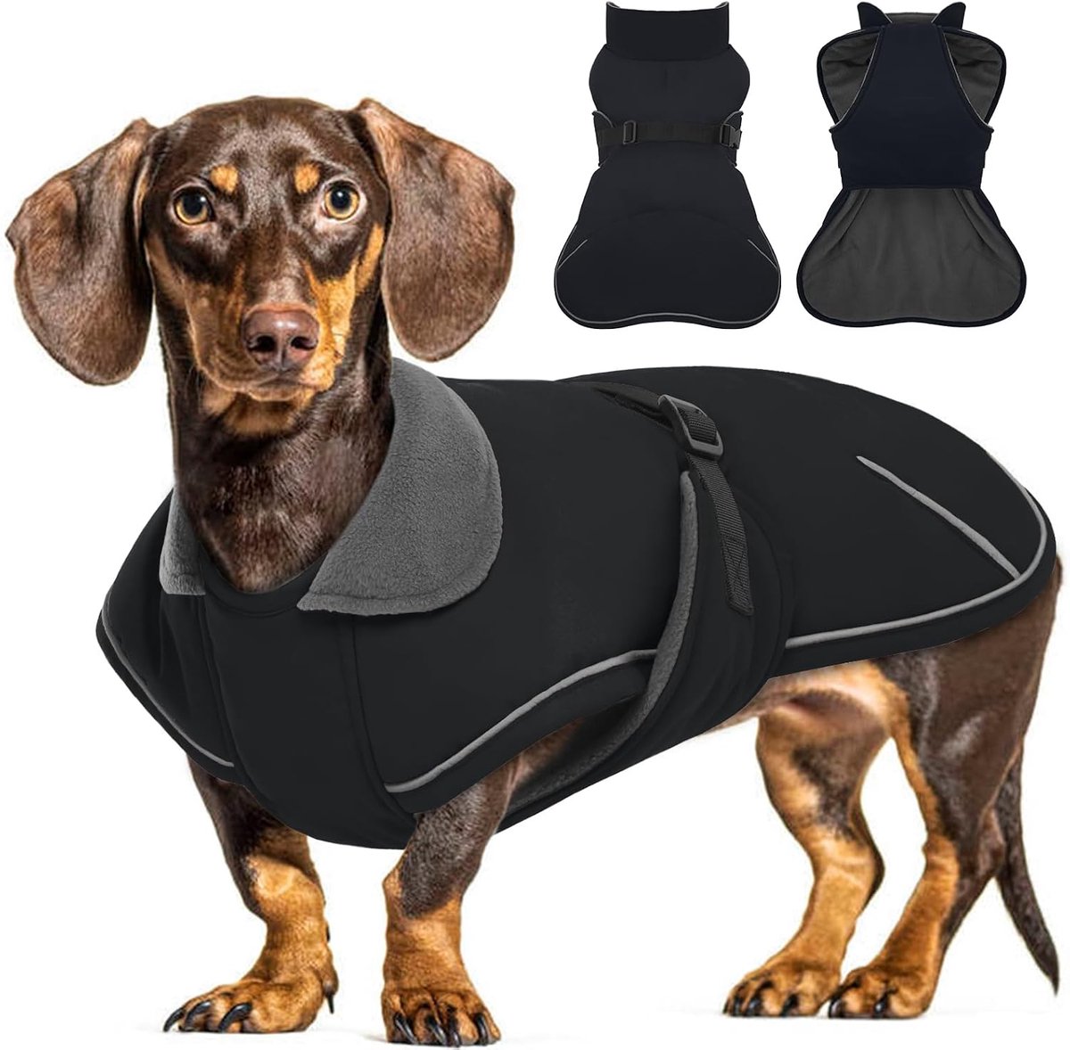 Dachshund Coat, Dog Coat with Warm Fleece Lining, Waterproof Dog Jacket for Dwarf Dachshund, Dwarf Dachshund Winter - ShopVlot