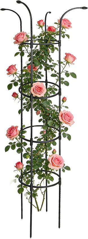 Klimplanten rek - Tuingereedschap steun - Planten Ondersteunen - Gereedschapsvrije Montage - 160cm Hoog - Zwart