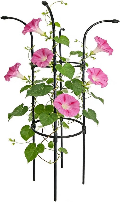 Plantensteun Buiten - Klimplantsteun Tuin - Verticale Plantengroei - Verstelbare Hoek - 100 cm - Zwart