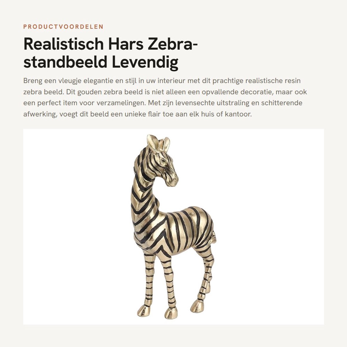 Dailygoods- Zebra-standbeeld Realistisch - Beeldjes Decoratie - Beelden voor Binnen - Harsmateriaal - Levendig Ontwerp - Schattig en Praktisch - Beeldje