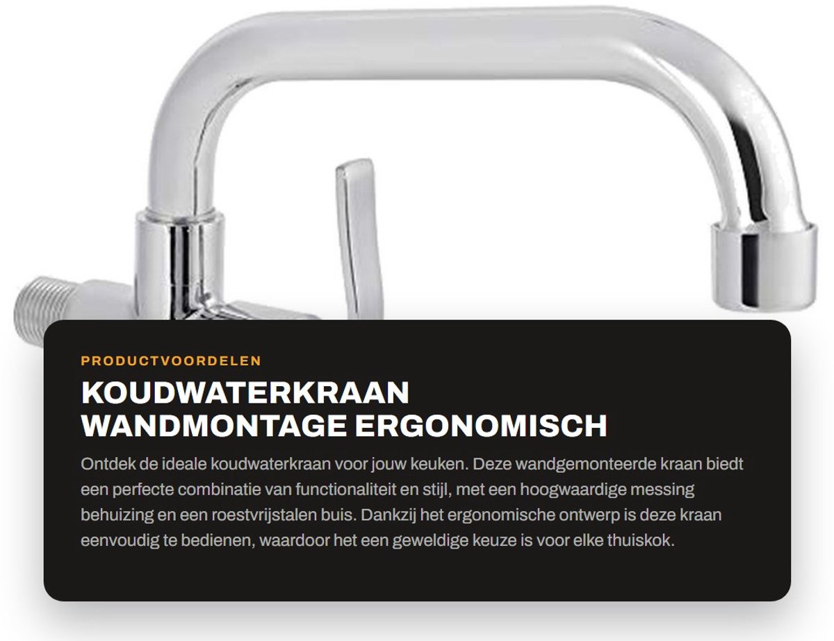 Dailygoods- Koudwaterkraan Wandmontage - Messing Behuizing - Roestvrij Stalen Buis - Ergon