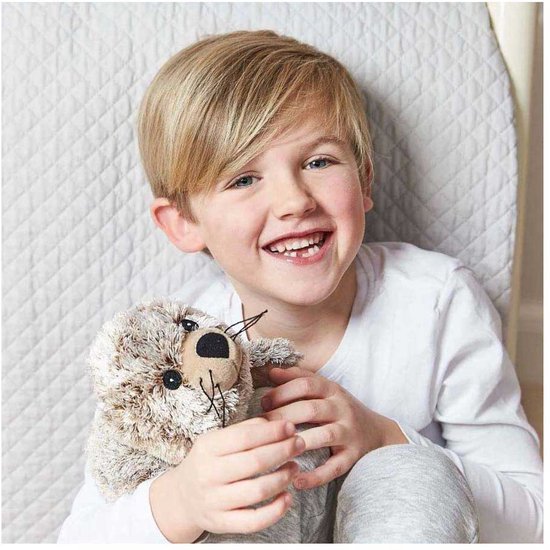 Pittenzak Warmies magnetronknuffel zeehond warmte knuffel — afbeelding 4