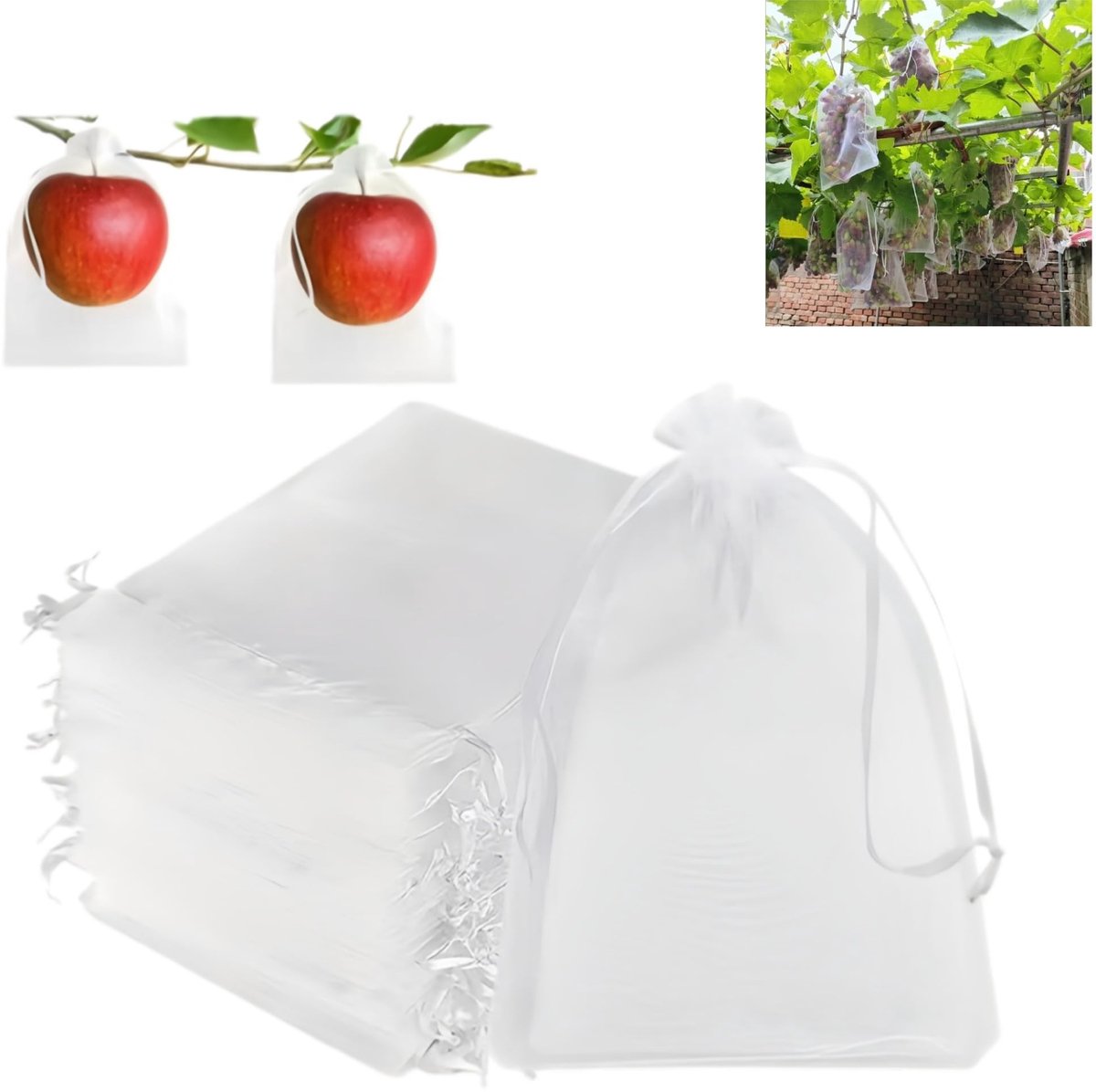 Solidchoice - Set van 50 Fruitbeschermingstassen voor Tuin en Groenten