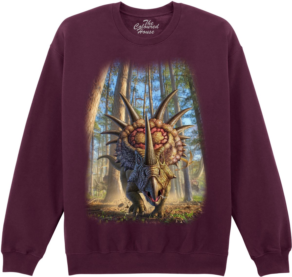 Dino Styracosaur The Coloured House Sweater 4XL