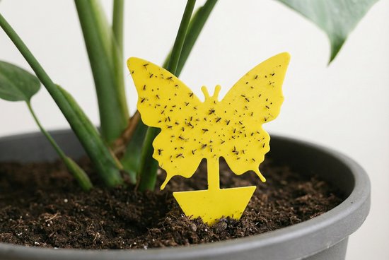 Gele vlinder vangplaat met vele kleine insecten erop, in een plant.