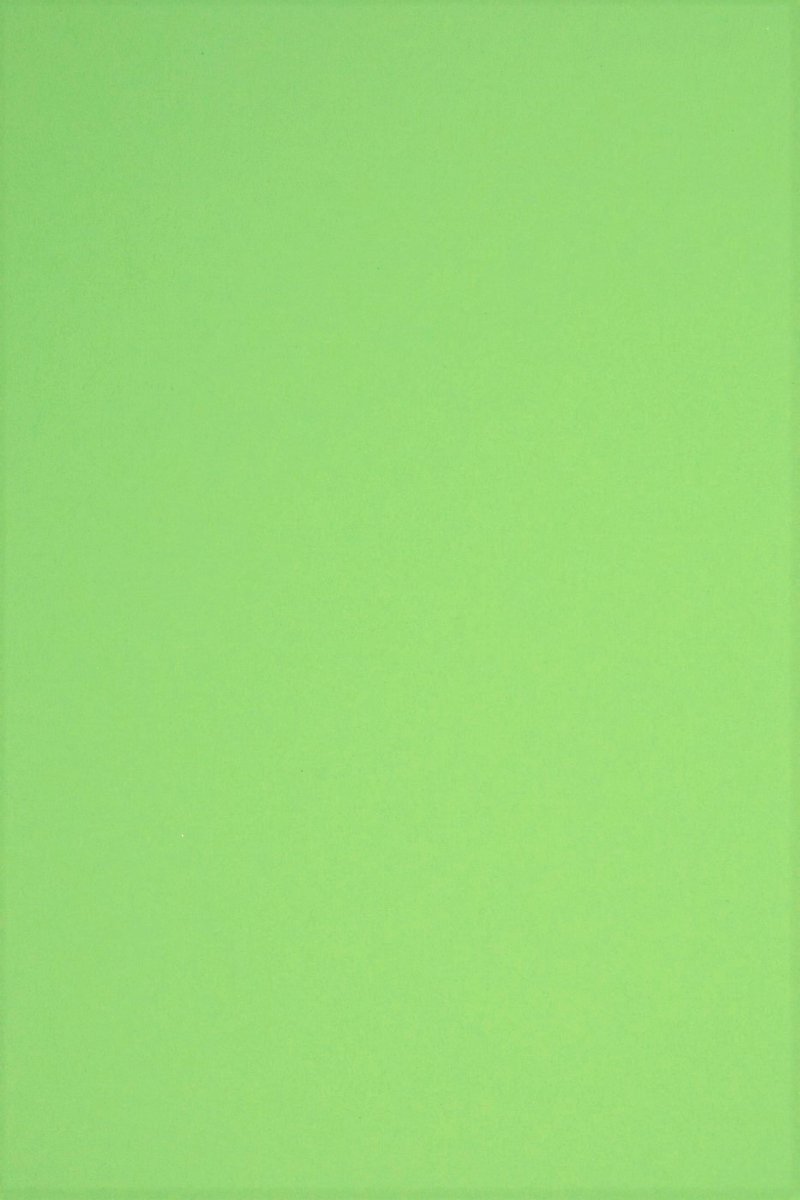 Netuno - groen glad gekleurd papier - A5 - 14,8 x 21 cm - 20 vellen - 230 gram - Rainbow Green R76