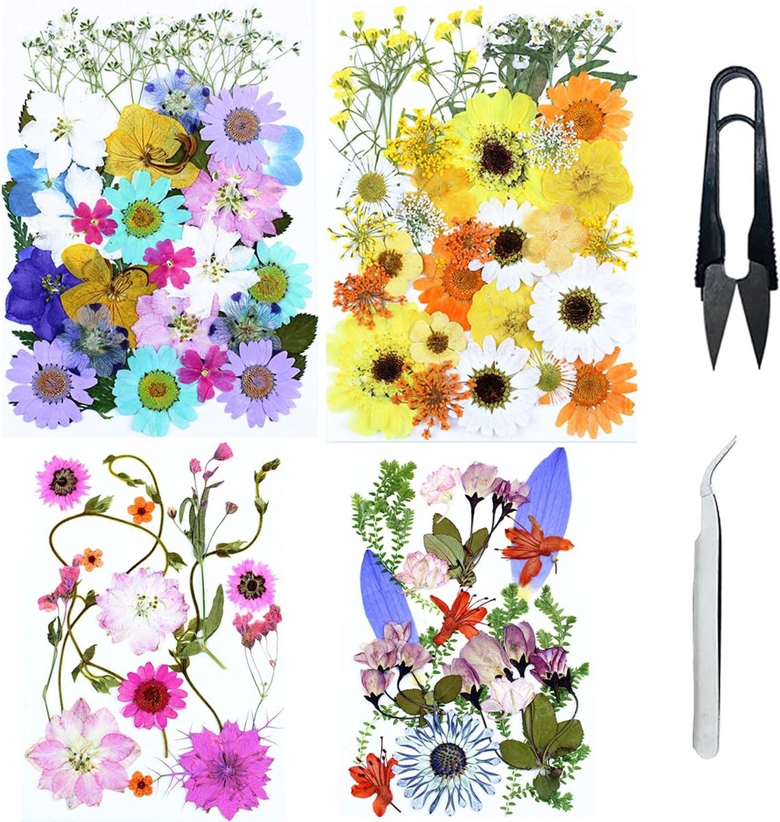 Set van 4 Gedroogde Bloemen voor Natuurlijke Hars, Geperste Bloemen voor DIY Kaarsen en Sieraden, Perfect voor Creatieve Projecten