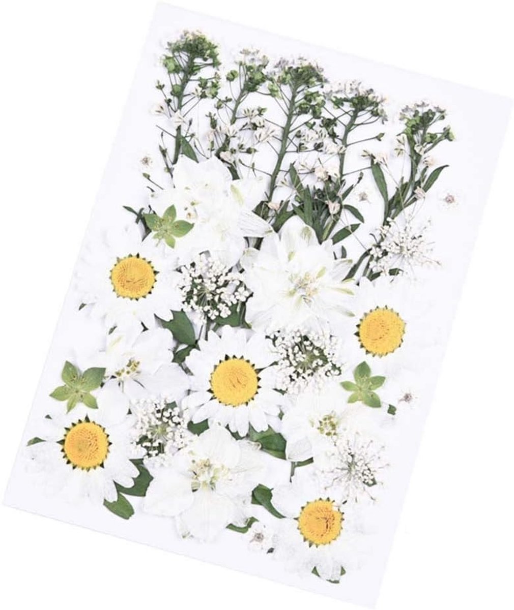 33 Stuks Gedroogde Bloemen en Bladeren voor Kunst en Ambachten - Perfect voor Resin, Scrapbooking en Kaarten Maken - Stijl D