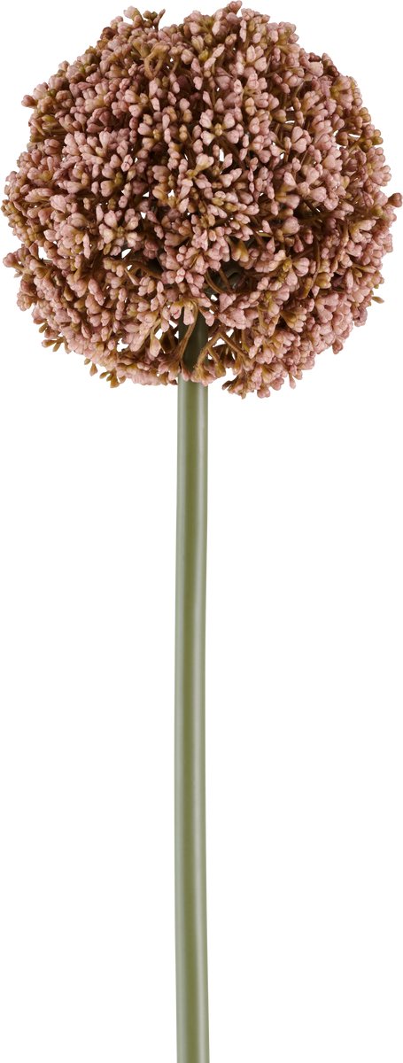 Easyplants | Kunstbloem Allium 75 cm mauve | Zijde | Nepbloemen | mauve | Onderhoudsvrij | Kant-en-klaar