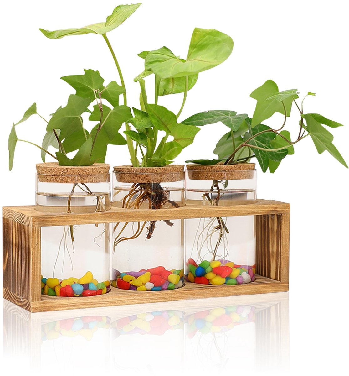 Omgoods - Plantengroeistation met Houten Stand en 3 Glazen Vazen