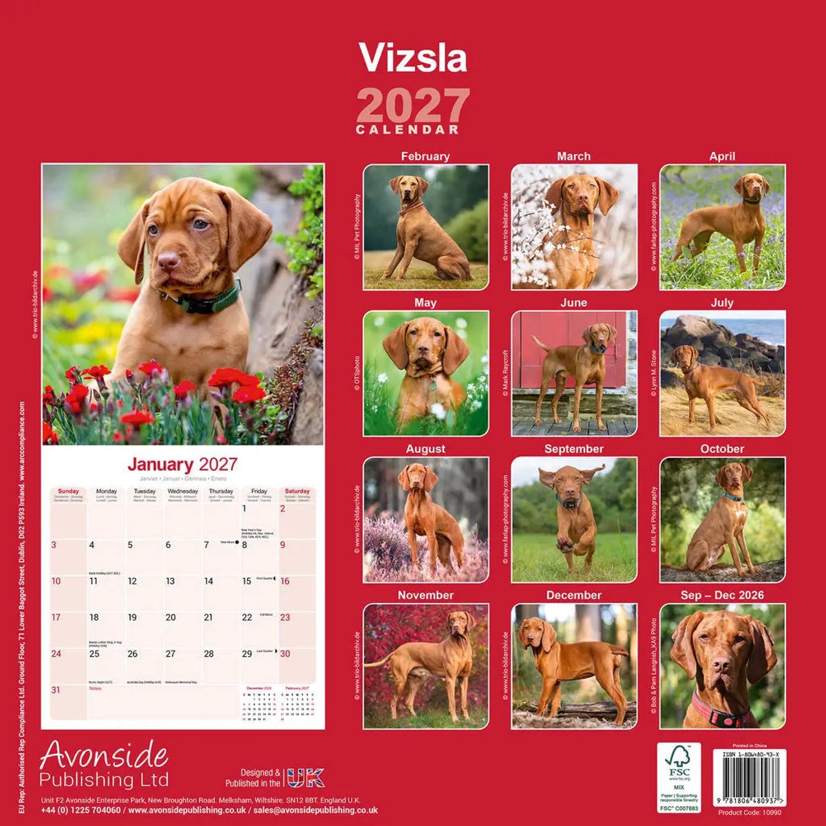 Vizsla Kalender 2027
