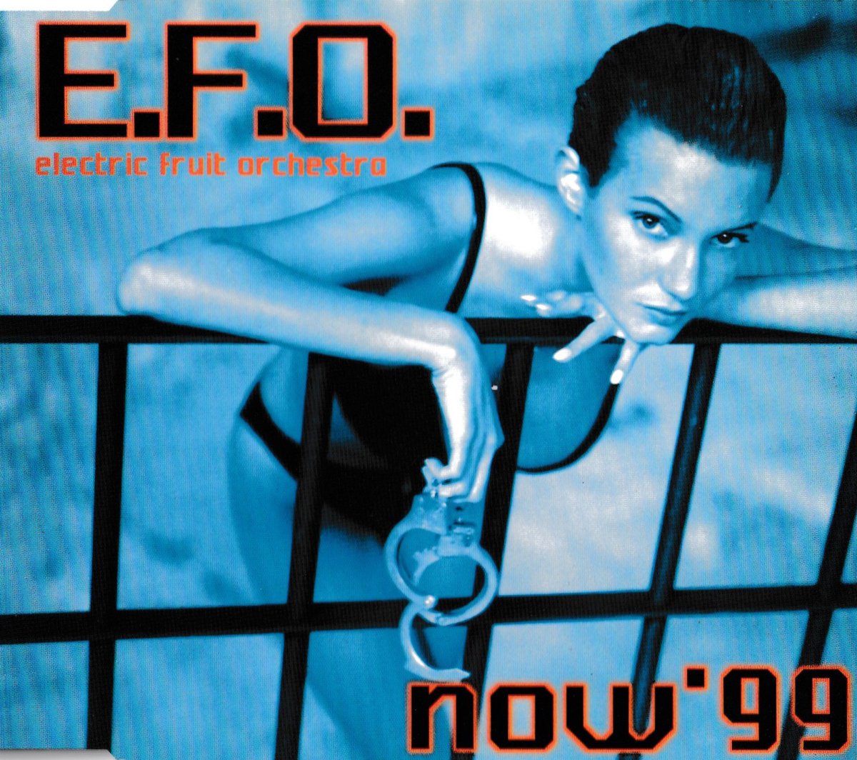 Electric Fruit Orchestra - NOW '99