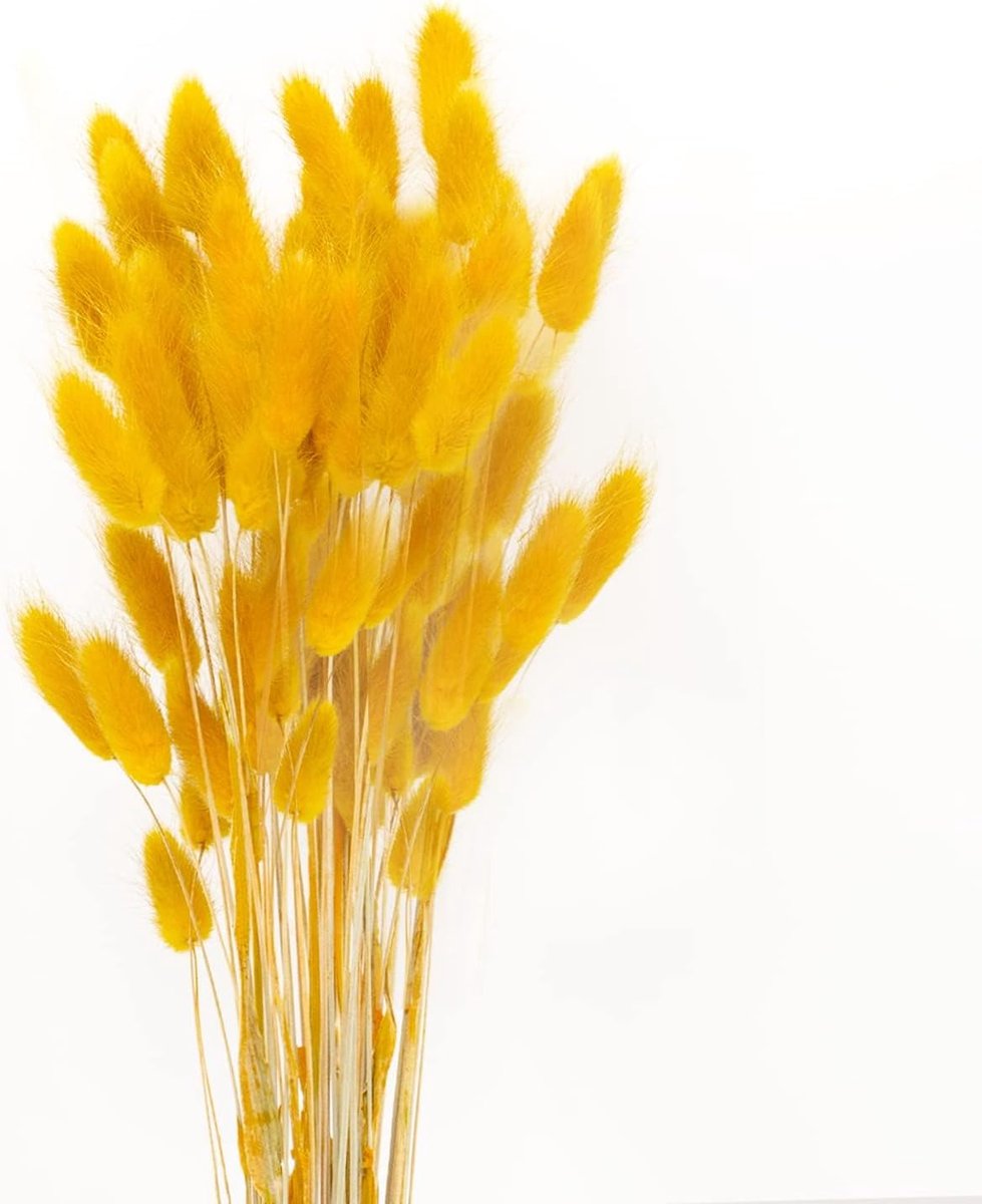 SnelShoppen - 50 Sticks Pampasgras Droogbloemen Geurvrij Nooit Verwelkend Boho Decor Extra Fluffy Decoratieve Huisaccessoires (Mosterdgeel)