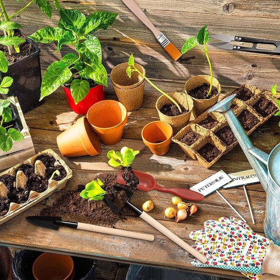 SnelShoppen - 12-delige mini tuin gereedschapset voor plantenverzorging, bonsai en succulenten, inclusief handtransplantatietools, terrariumaccessoire — afbeelding 4