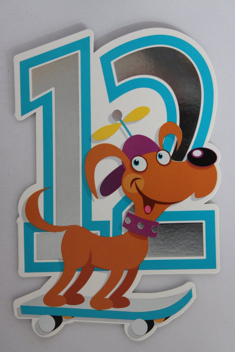 Luxe Wenskaart 12 Jaar - Verjaardagskaart - Leeftijdskaart - Verjaardag - Jarig - Leeftijd 12 - Touche Cards - Kaart - 8717245010177 - Geburtstag - Birthday - Anniversaire - 1 Stuks - In Folie - Gratis Verzonden - Hoge Afnamekortingen - 12x17.5cm