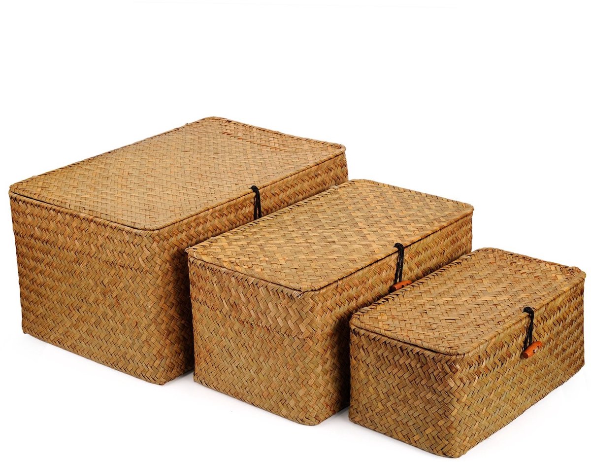 Omgoods - Set van 3 Rieten Opbergmanden met Deksel van Natuurlijk Materiaal